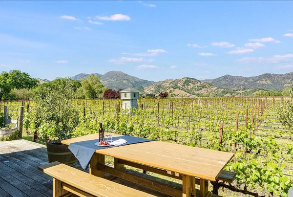 Pool with mountain views at Chateau de Vie luxury estate